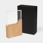 RECONOCIMIENTO LYNOR