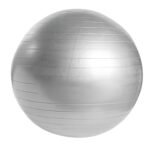 PELOTA DE PILATES WELLNESS